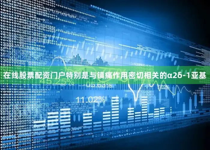 在线股票配资门户特别是与镇痛作用密切相关的α2δ-1亚基